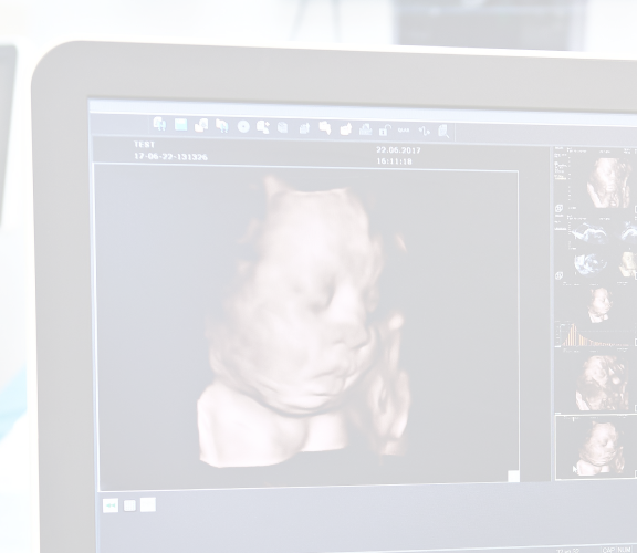 AdobeStock_34616175 1 (1)