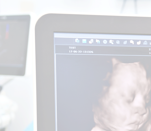 AdobeStock_34616175 2