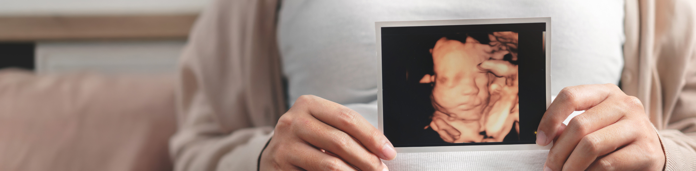 Banner_4D Scan Premium@2x