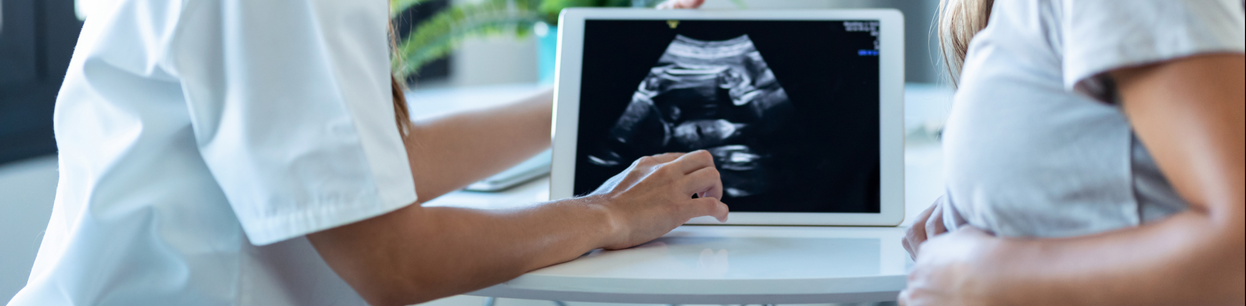 Banner_Growth and Presentation Scan@2x